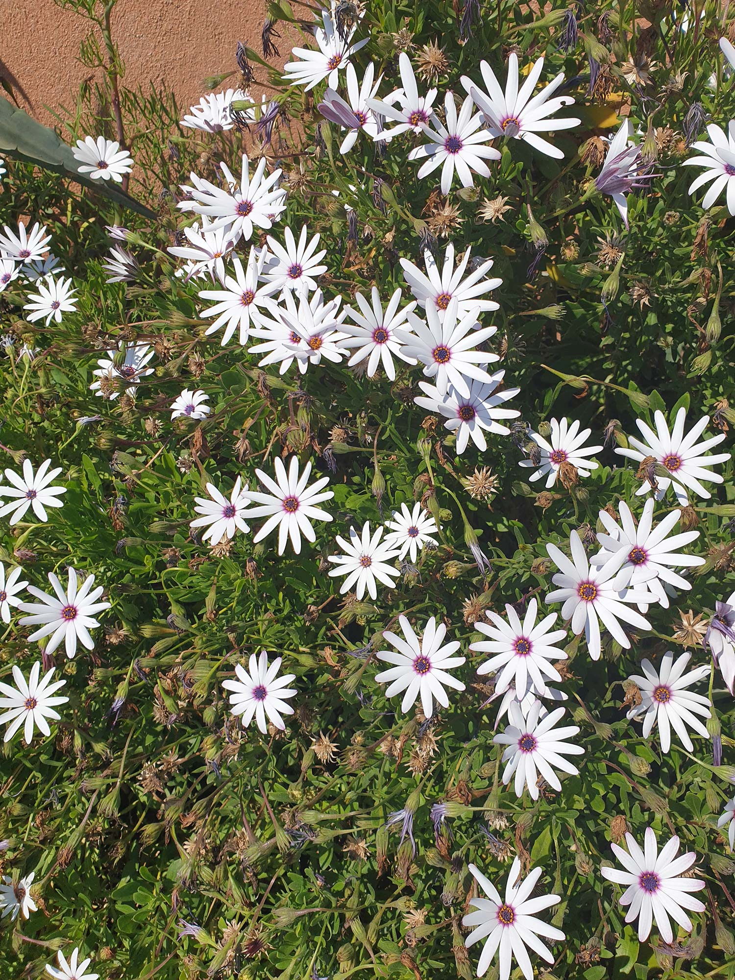 Yoga en groupe à Lyon